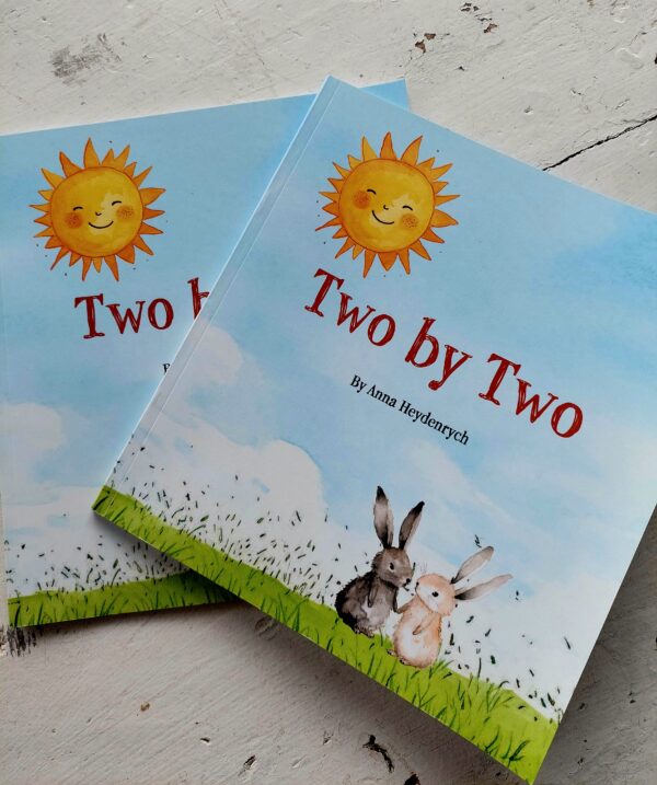 Childrens book - Two by Two - Image 2