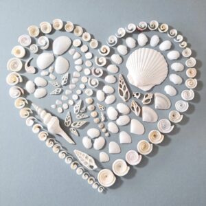 Shell Art - White Heart