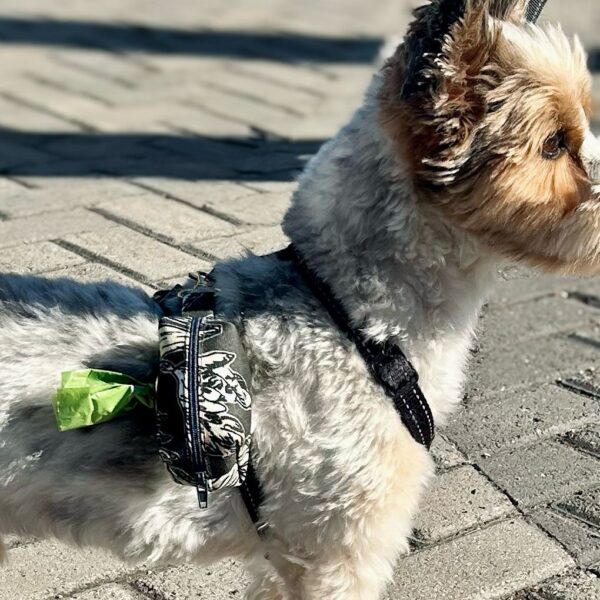 Pet poopy bag holder