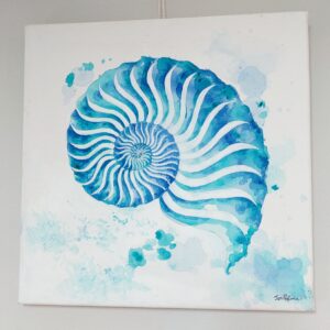 Nautilus shell watercolour painting
