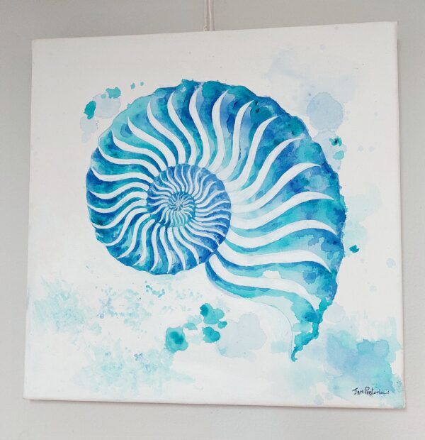 Nautilus shell watercolour painting